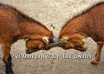 קריסת האשליות? מה יעשו מחבלי חמאס לאנשי רשות רמאללה, אם יעזו לדרוך בעזה?