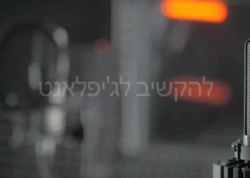 הצהרת הנגישות באתר ג’יפלאנט