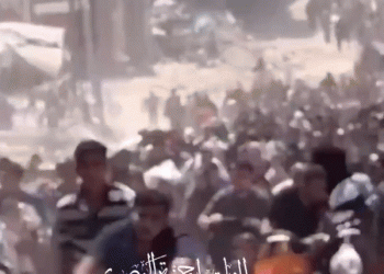 מאמר מתעדכן: האם העיר עזה תיחרב? המקומיים קיבלו הוראת פינוי גורפת