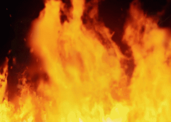 האם איראן נטשה גם את נסראללה?