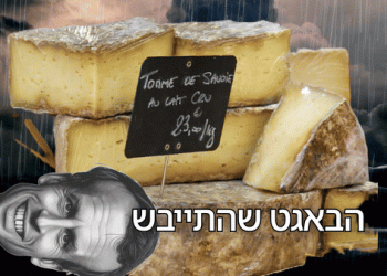 צרפת על סף תהום, ואיתה האיחוד האירופי כולו?