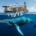 חדשות משמחות ממעצמת האנרגיה ישראל? האם תפוקת הגז שלנו ממשיכה לעלות? לפניכם הנתונים החדשים והחסויים