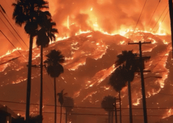 לוס אנג’לס הבוערת: ומה אם טראמפ לא ירצה לכסות את ההפסדים העצומים?