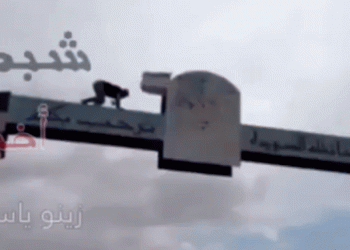 היסטוריה: האם קמה בפועל המדינה הדרוזית העצמאית? מהם גבולותיה? ואיך נראית “סוריה”?